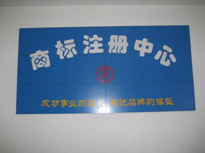 圣佳23周年 專業(yè)引領濟寧工商代理與公司注冊服務